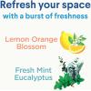 imageClorox Disinfecting Mist Eucalyptus Peppermint Household Essentials 1 Spray and 1 Refill 16 oz Each