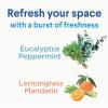 imageClorox Disinfecting Mist Lemon Orange Blossom Disinfecting Refill 16 Fluid Ounces Pack of 3Lemon Orange Blossom Refill 3ct