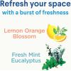 imageClorox Disinfecting Mist Lemon Orange Blossom Disinfecting Refill 16 Fluid Ounces Pack of 3Lemon Orange Blossom Starter Kit