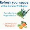 imageClorox Disinfecting Mist Refill MultiSurface Disinfectant Household Essentials Lemongrass Mandarin 16 Fluid Ounces16 Fl Oz Pack of 1