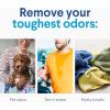 imageClorox Laundry Sanitizer Kills 999 of OdorCausing Bacteria on Laundry 80 Fl Oz Pack of 2