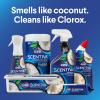 imageClorox Scentiva Disinfecting Mist Coconut and Waterlily Refill 16 Fluid Ounces Each Pack of 3