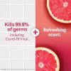 imageClorox Scentiva Disinfecting Mist Grapefruit and Orange Blossom Refill 16 Fl Oz Each Pack of 3