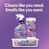 imageClorox Scentiva Disinfecting Wet Mop Pad Disposable Mop Heads MultiSurface Floor Wipes Lavender and Jasmine 2 Packs 24 Wet Refills Per Pack Package May Vary