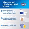 imageClorox SplashLess Bleach1 Disinfecting Bleach Kills 999 of Bacteria and Viruses Regular 40 Fluid Ounce Bottle  Pack of 2 Package May Vary