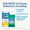 imageClorox Disinfecting Wipes On The Go Wipes Crisp Lemon 9 Count Pack of 24 Package May VaryCrisp Lemon