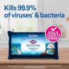 imageClorox Scentiva Disinfecting Wet Mopping ClothsPacific Breeze ampamp Coconut24 Wet RefillsPack of 2ampamp Clorox Scentiva WipesBleach Free Cleaning WipesPacific Breeze ampamp Coconut75CountPack of 3 Bundle