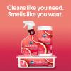 imageClorox Scentiva Wipes Bleach Free Cleaning Wipes Household Essentials Tahitian Grapefruit Splash 75 Count Pack of 3