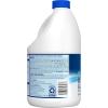imageClorox SplashLess Bleach1 Disinfecting Bleach Regular 77 Fluid Ounce Bottle Package May Vary