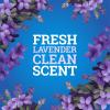 imagePineSol MultiSurface Cleaner CloroxPro 2x Concentrated Formula AllPurpose Cleaner Lavender Clean 80 Fl Oz Pack of 380 Fl Oz Pack of 1