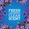 imagePineSol MultiSurface Cleaner CloroxPro 2x Concentrated Formula AllPurpose Cleaner Lavender Clean 80 Fl Oz Pack of 380 Fl Oz Pack of 3