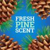 imagePineSol MultiSurface Cleaner CloroxPro 2x Concentrated Formula AllPurpose Cleaner Original Pine 80 Fl Oz Pack of 380 Fl Oz Pack of 3