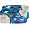 imageClorox Scentiva Disinfecting Wet Mop Pad Disposable Mop Heads Coconut and Waterlily 2 Packs 24 Wet Refills Per Pack Package May Vary