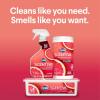 image:imageClorox Scentiva Disinfecting Wipes Grapefruit and Orange Blossom 75 Count Each Pack May vary75 Count Pack of 1