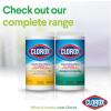 image:imageClorox Disinfecting Wipes Bleach Free Cleaning Wipes Fresh Scent 75 Count Package May Vary75 Count Pack of 2
