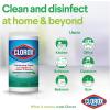 image:imageClorox Disinfecting Wipes Bleach Free Cleaning Wipes Fresh Scent 75 Count Package May Vary75 Count Pack of 2